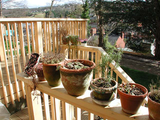  View south east from the balcony